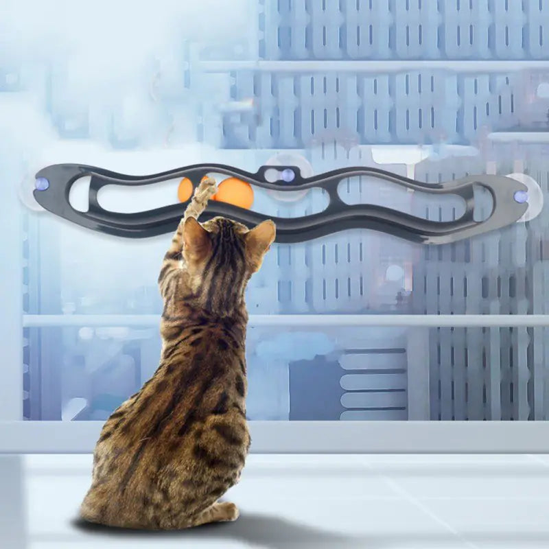 Ventosa para ventanas